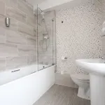 Acorn 4*