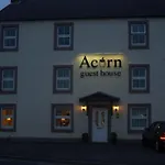 Acorn